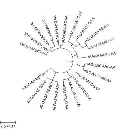 https://raw.githubusercontent.com/Ad115/Cell-System/master/assets/mutations_no_death.png