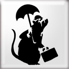 Avatar for dmesh from gravatar.com