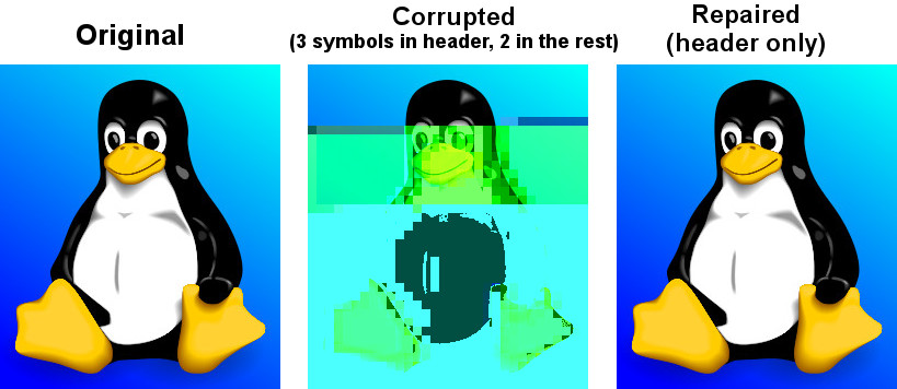 Corrupted Image File