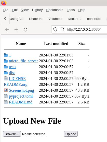 micro-file-server · PyPI