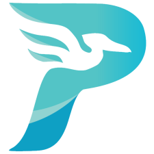 Avatar for Pelican Team from gravatar.com