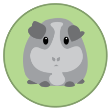 Avatar for Blaž Zupan from gravatar.com