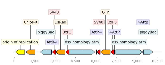 dna-features-viewer · PyPI