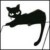 Avatar for sanja from gravatar.com