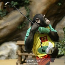 Avatar for Golf Ape from gravatar.com