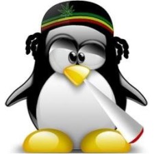 Avatar for dbld from gravatar.com