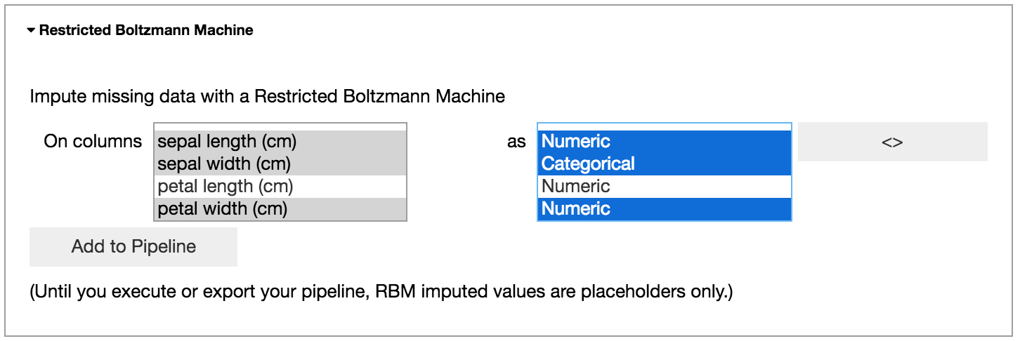 Creating a Restricted Boltzmann Machine cleaning step.