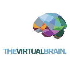 Avatar for The Virtual Brain Project from gravatar.com