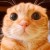 Avatar for philip1134 from gravatar.com